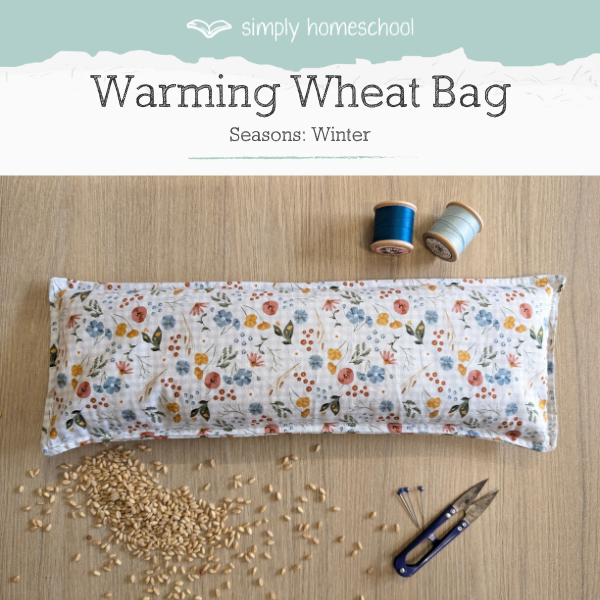 Warming wheat bag
