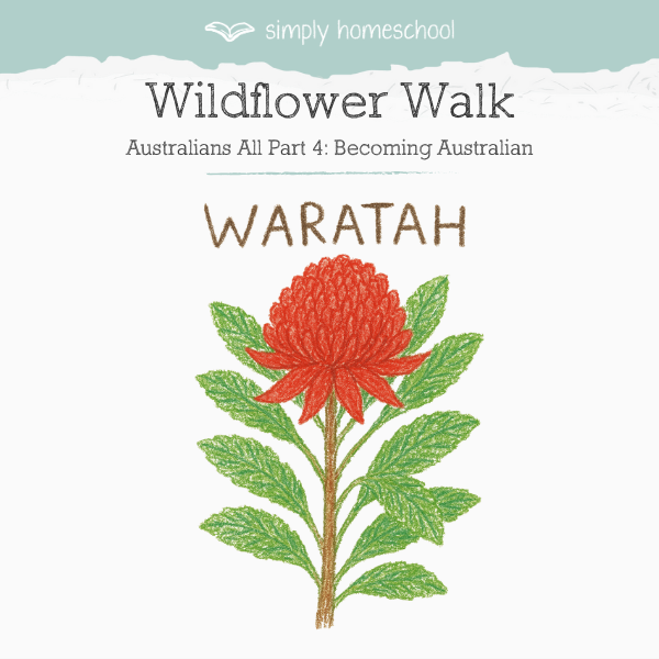 Wildflower walk