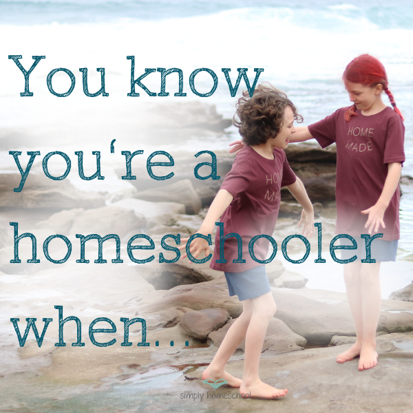 You Know You're a Homeschooler When...