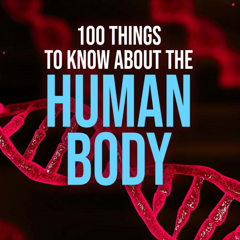 100 Things to Know About the Human Body