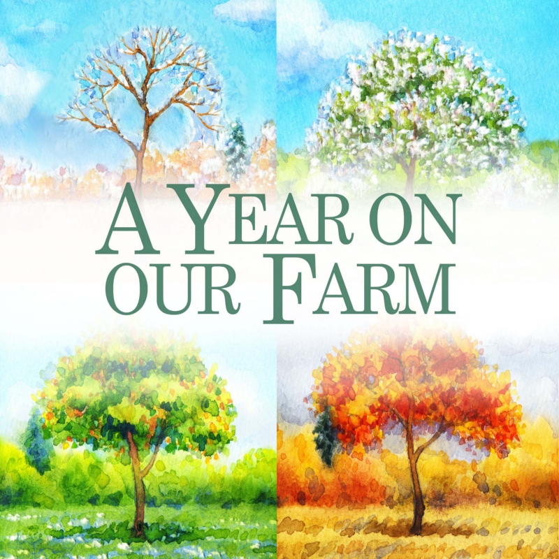 A Year On Our Farm