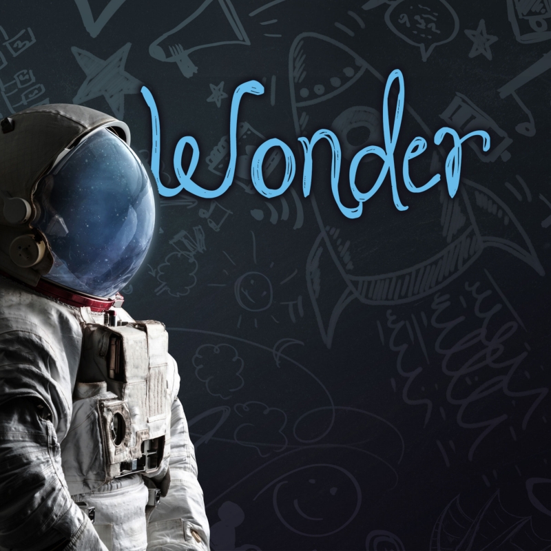 Wonder