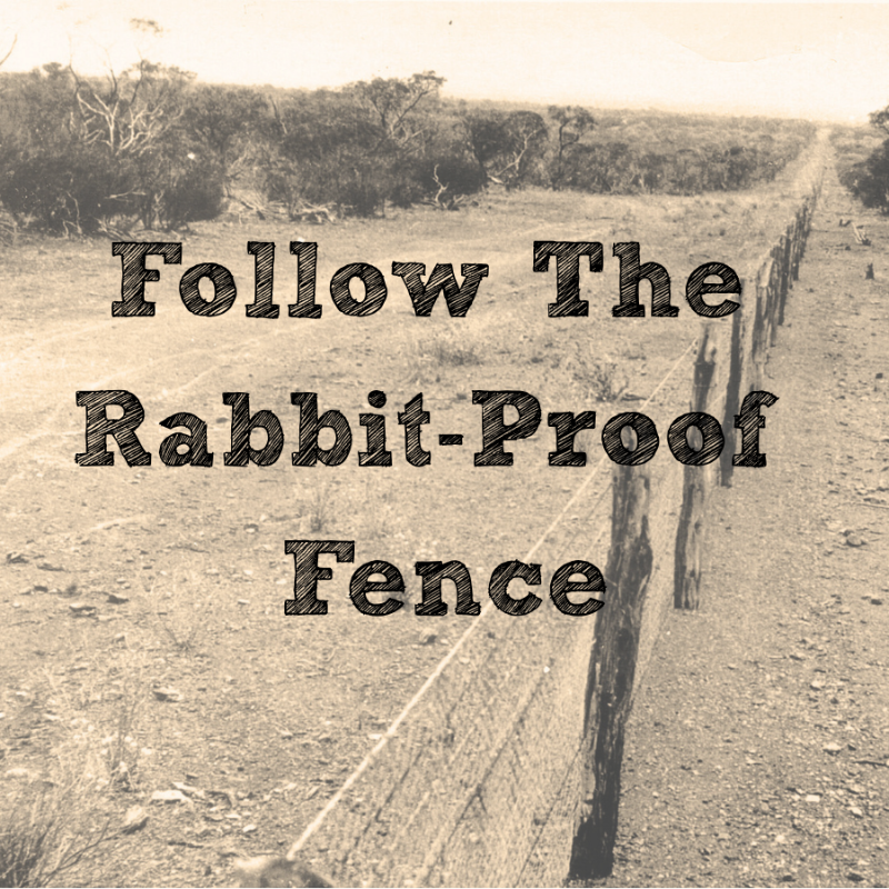 Follow The Rabbit Proof Fence (New Release)