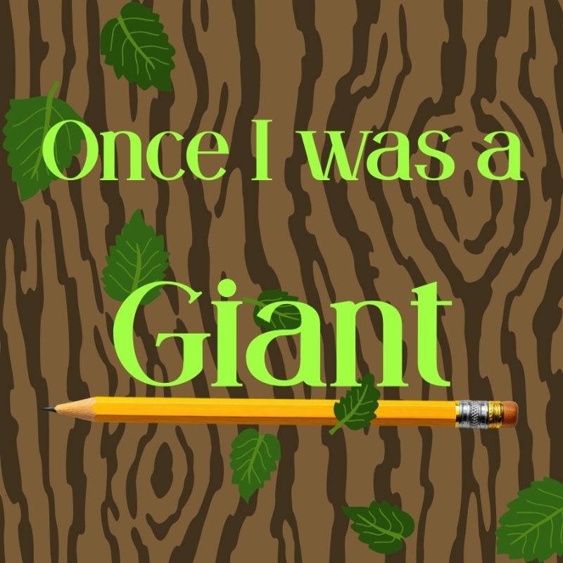 Once I was a Giant (New Release)